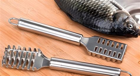 fish scalers for sale|Top 10 Best Fish Scalers On The Market 2024 Reviews .